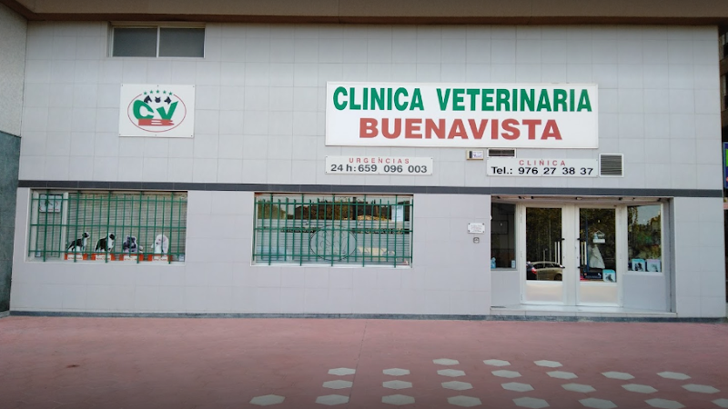 Clinica Veterinaria Buenavista