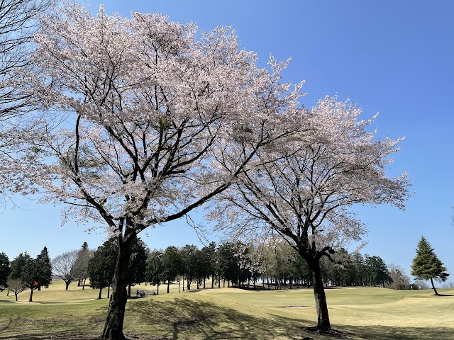 Kanuma Country Club - Photo 4