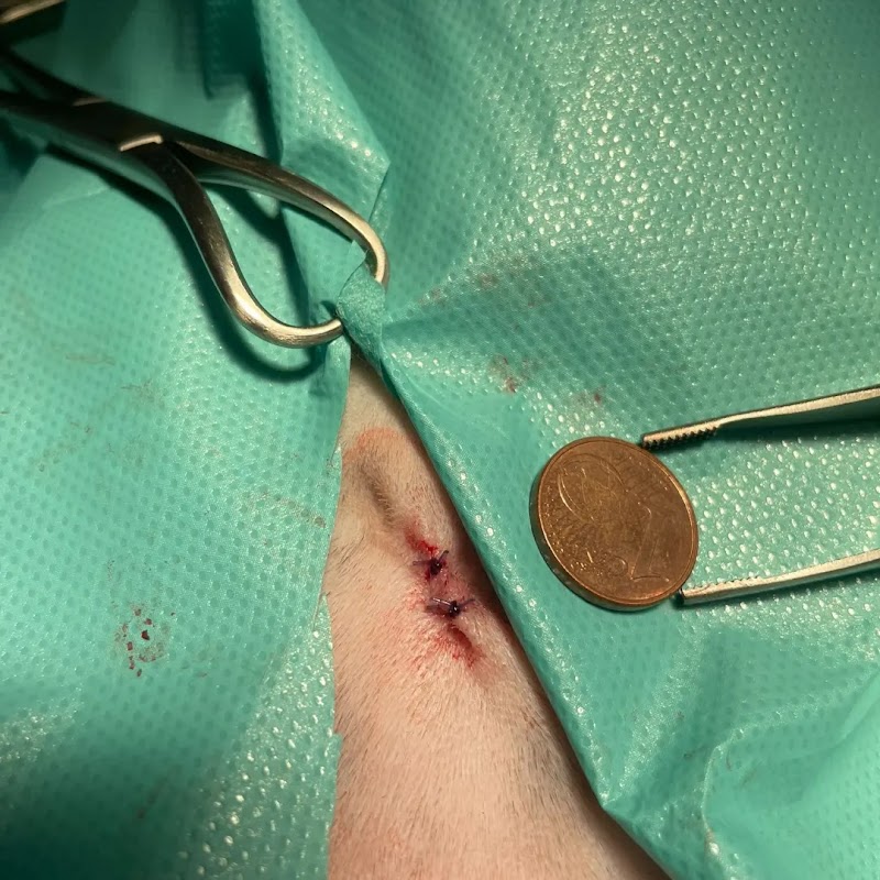 Clínica Veterinaria Sabuvet de Aviles