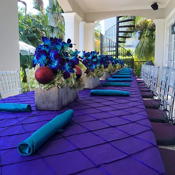 Soiree Party Rental — featured vendor