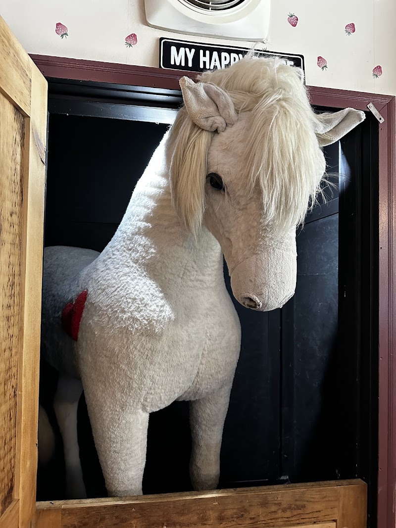 Plush Horse Palos Park photo 4