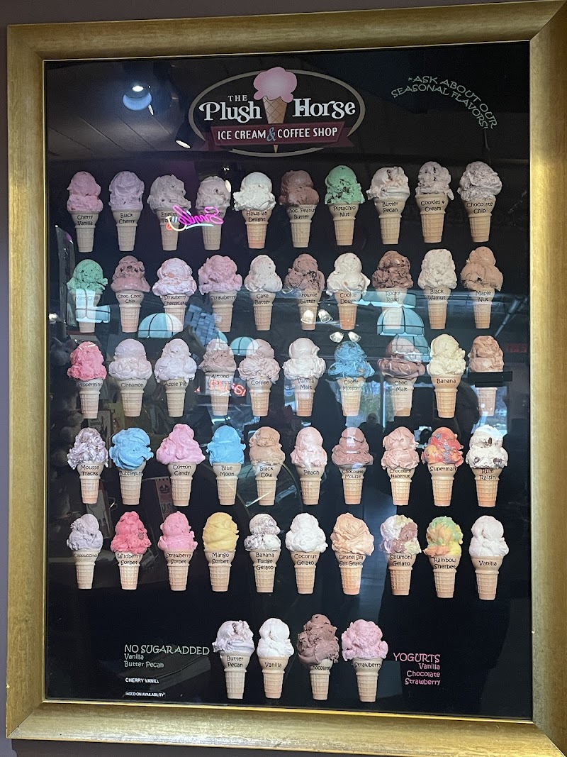 Plush Horse Palos Park photo 3