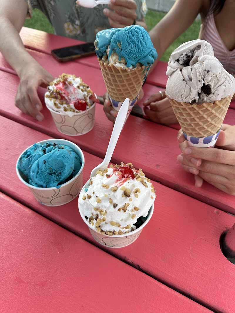 Plush Horse Palos Park photo 4