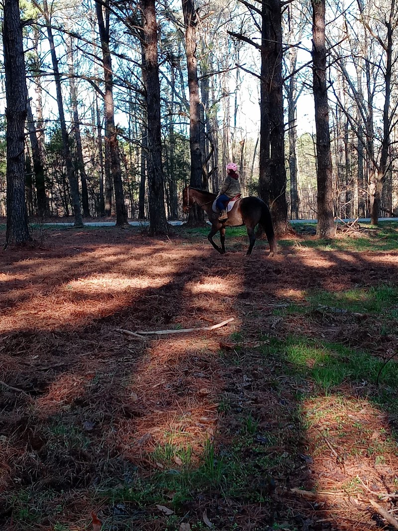 Sawtooth Ranch - Photo 2
