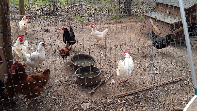 Sawtooth Ranch - Photo 5