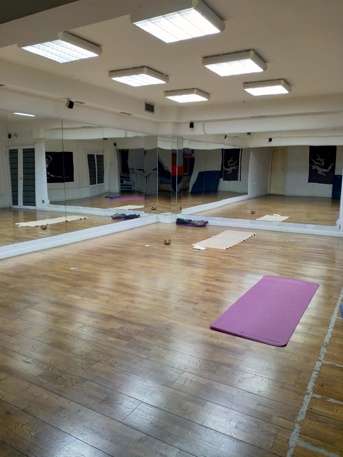 Koi Studio. Yoga in Herceg-Novi — 4
