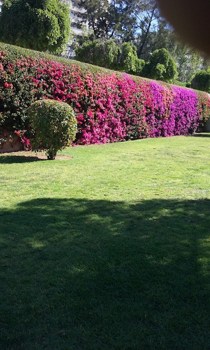 Parque del Río fotoğraf 1