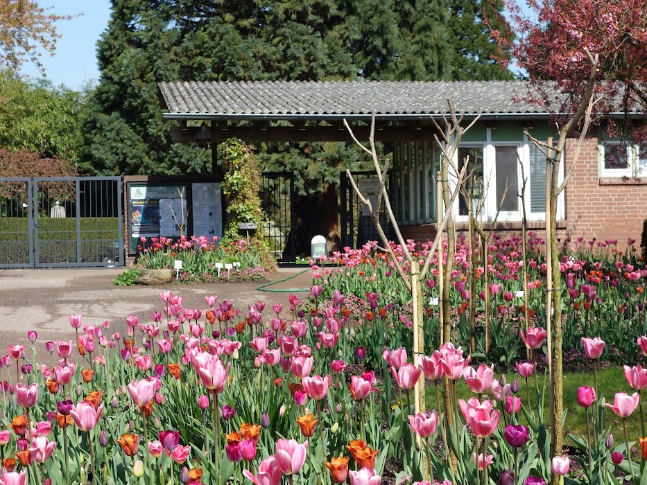 Botanischer Garten der Universität Hamburg - Loki-Schmidt-Garten fotoğraf 1