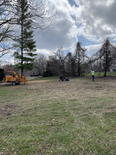 Alex Tree Service