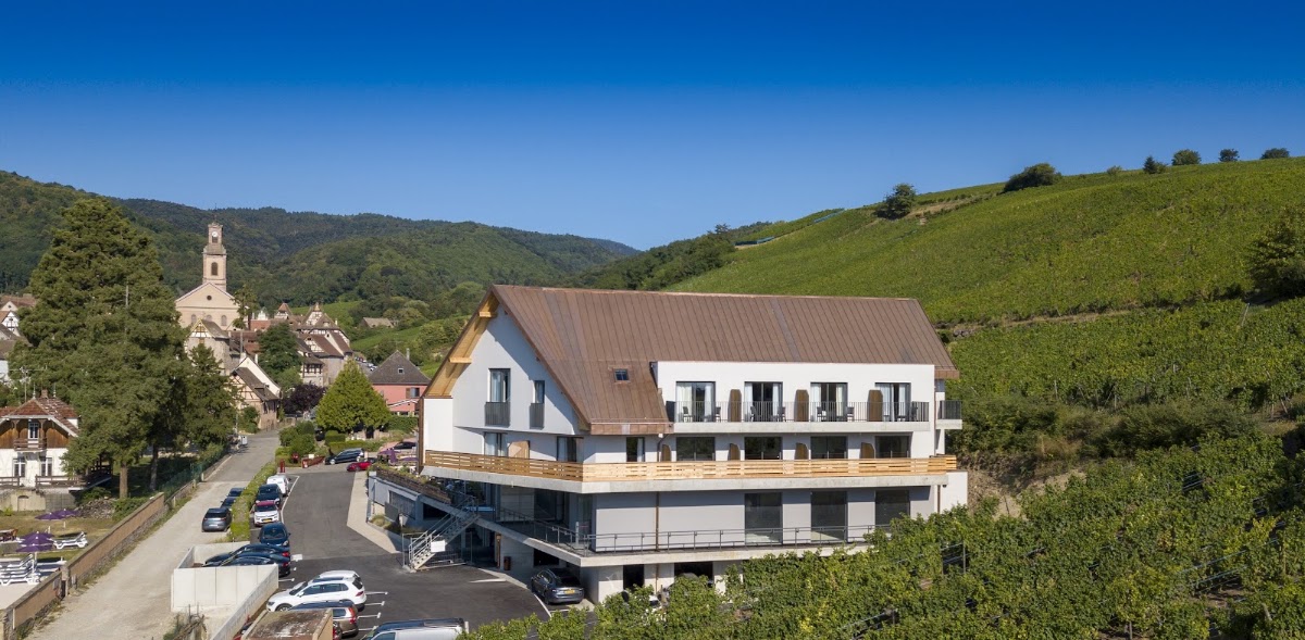 Best Dog-Friendly Hotels in Colmar, France
