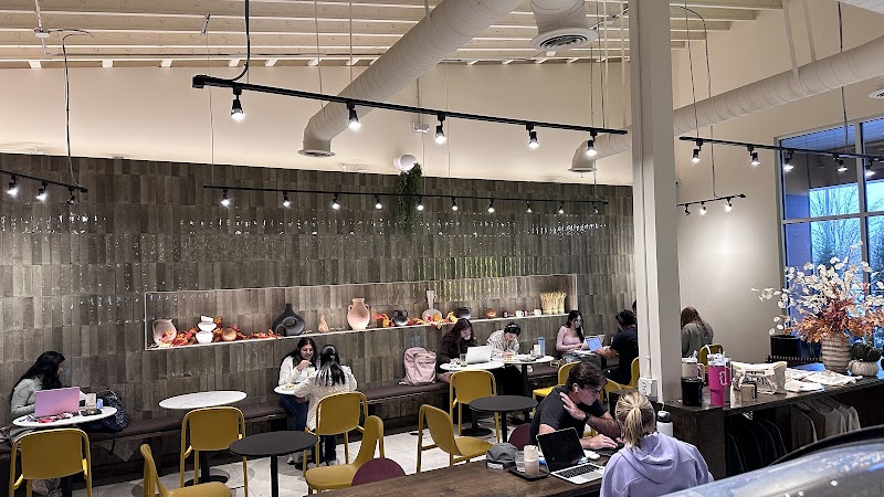 CALMO Coffee photo 1