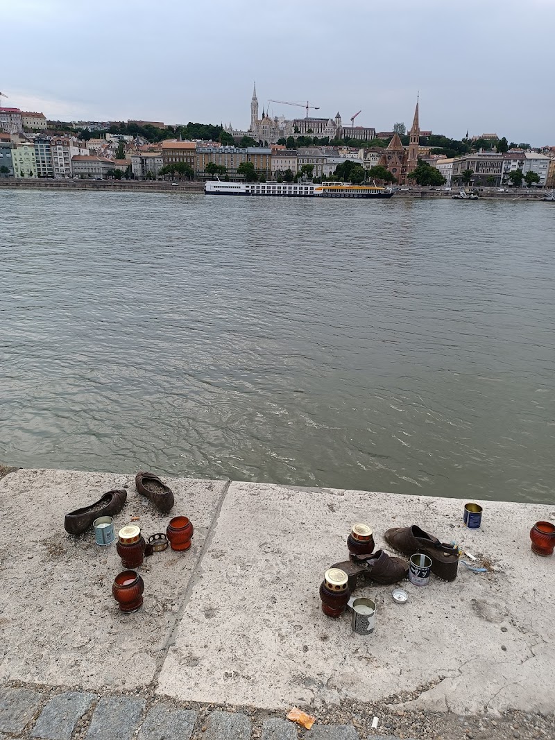 Danube and Buda panorama near Parliament