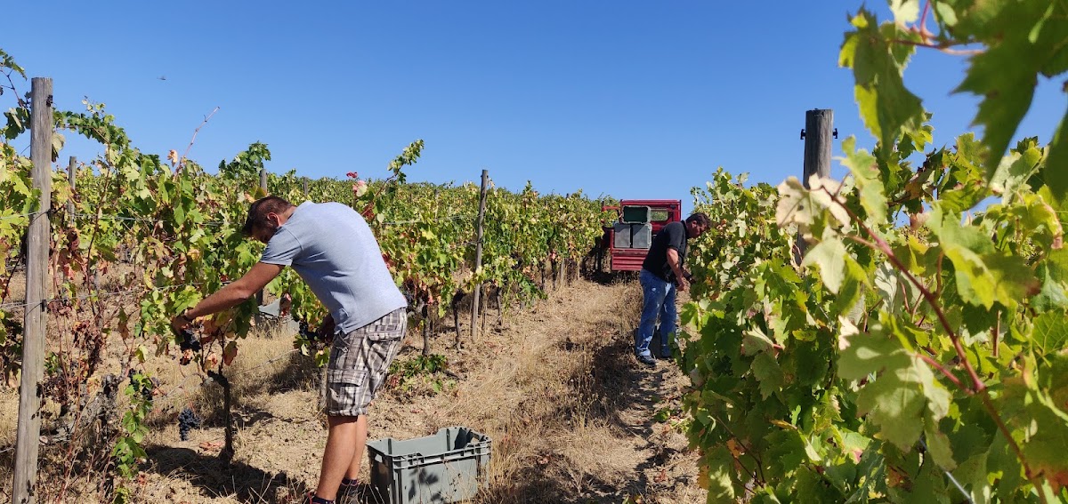 Quinta do Pinto