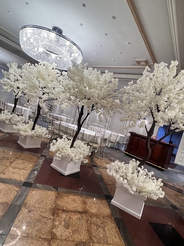 Exceptional Party Rental portfolio