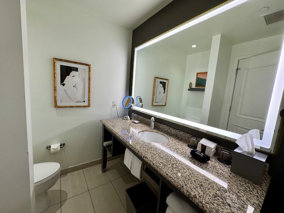 Andaz Savannah, dog-friendly hotel, photo 3