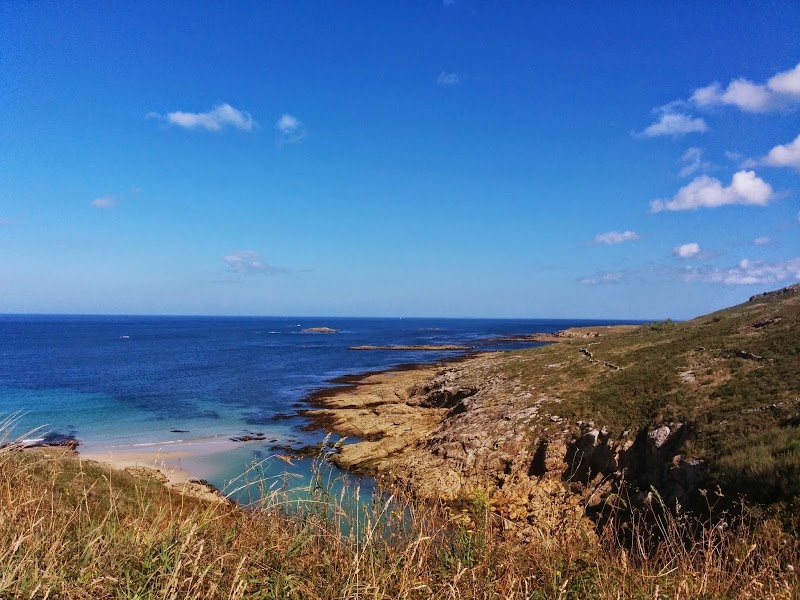 Viajes Navaza photo 1