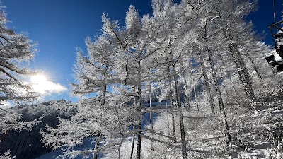 Sugadaira Kogen Snow Resort - 6