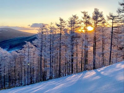 Sugadaira Kogen Snow Resort - 1