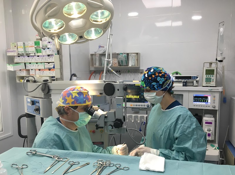 Clínica Veterinaria Romareda - Veterinarios Zaragoza