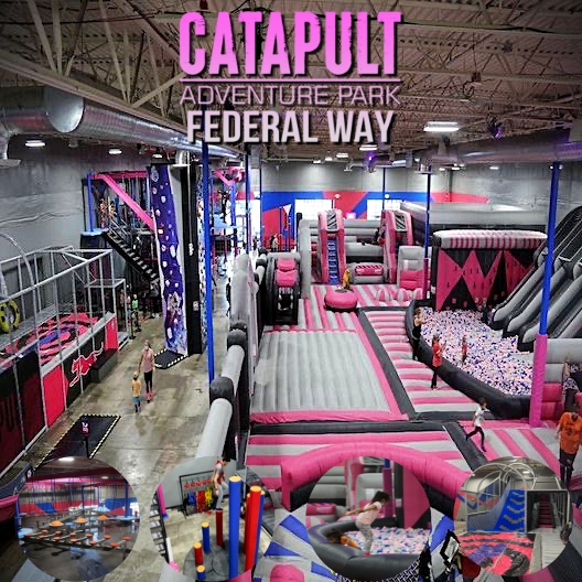 Catapult Adventure Park — Amusement Center in Federal Way