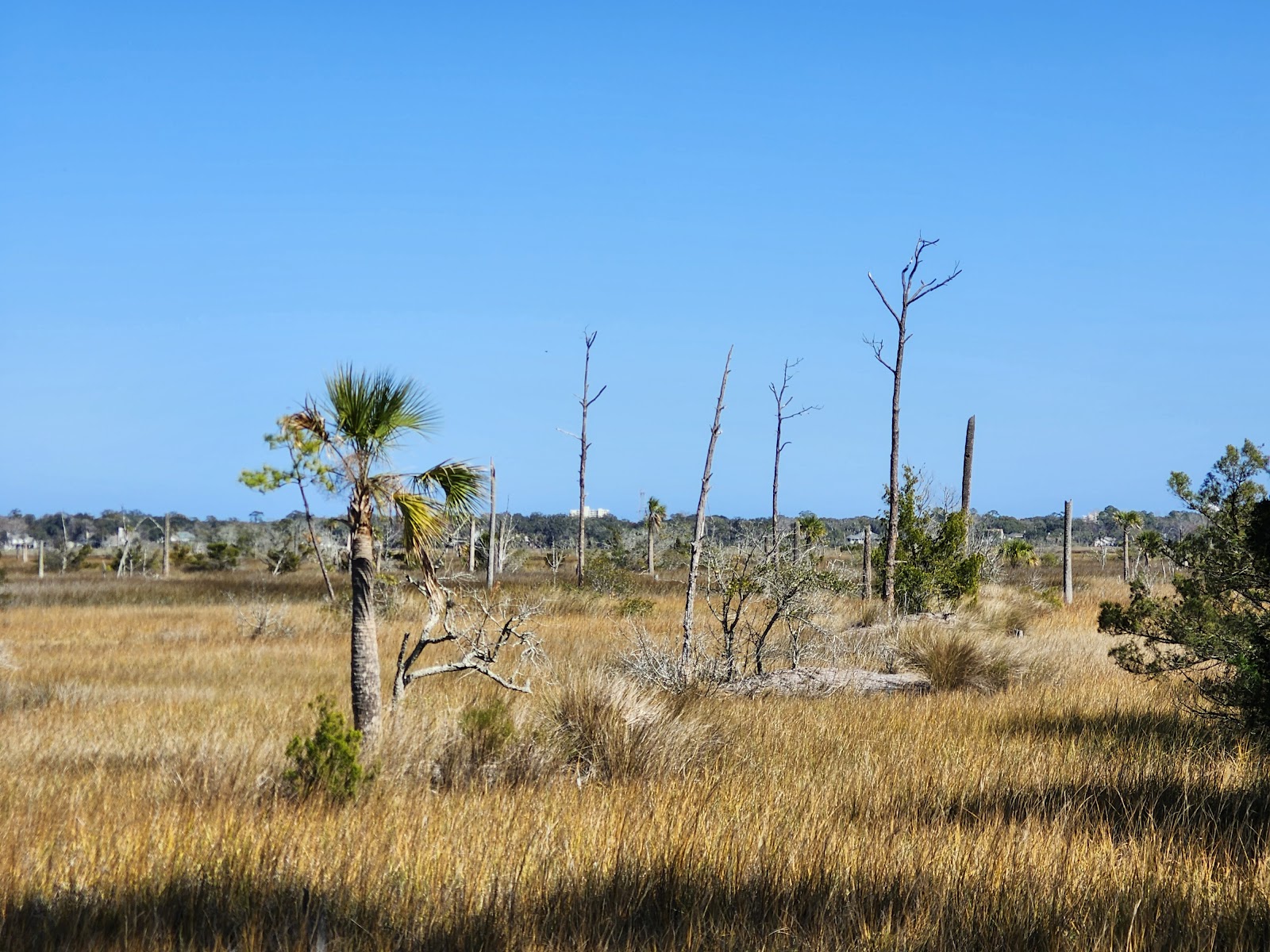 Castaway Island Preserve