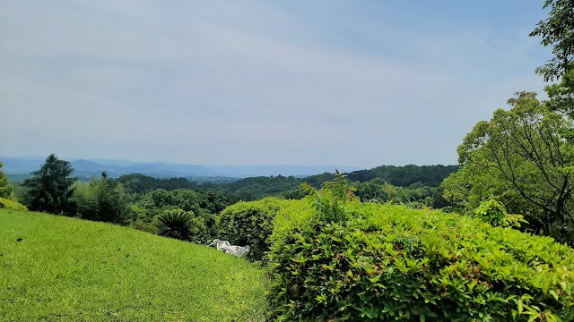 Nara Royal Golf Club - Photo 6