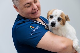 Hospital Veterinario Ciudad de Lugo