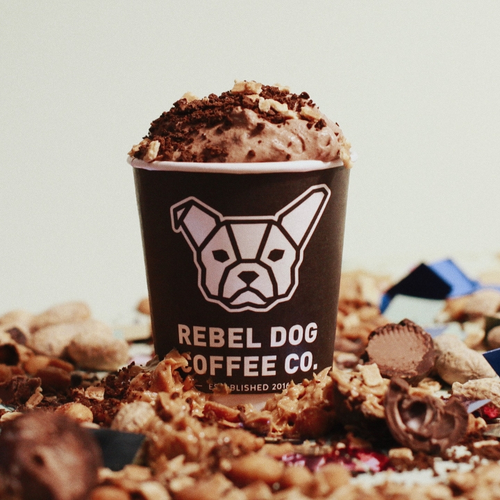 Rebel Dog Coffee Co. & Tavern PLAINVILLE photo 2