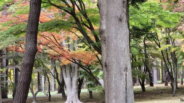 Hakodate Golf Club Yunokawa Golf Course - Photo 5