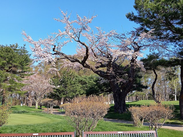 Hakodate Golf Club Yunokawa Golf Course - Photo 10