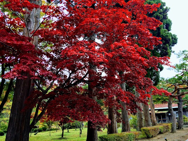 Hakodate Golf Club Yunokawa Golf Course - Photo 9