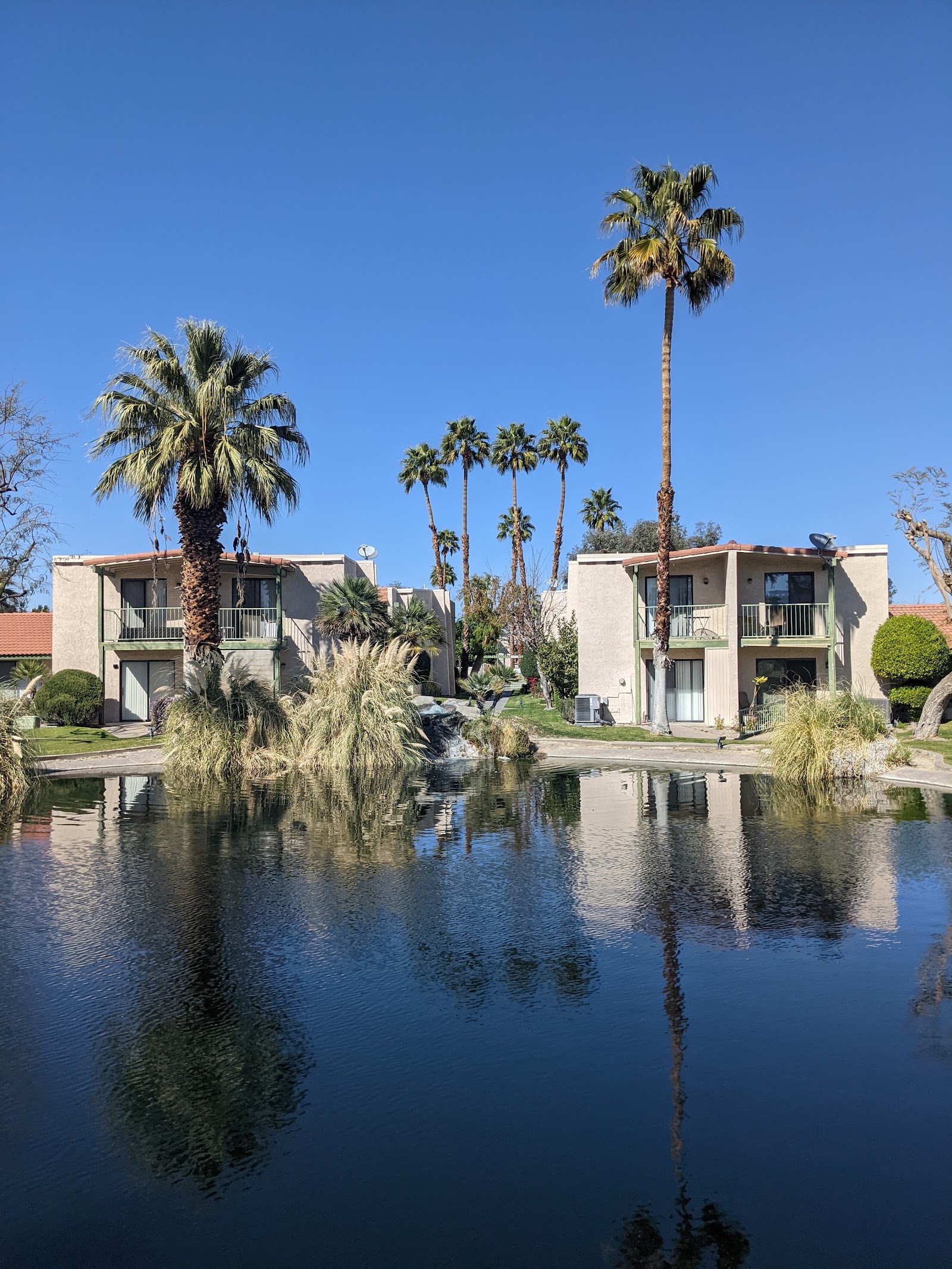 Best Pet-Friendly Hotels in Palm Springs, United States