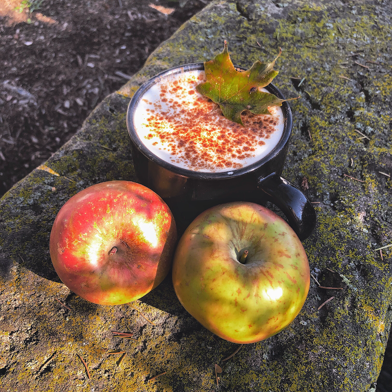 River Road Coffee House photo 2