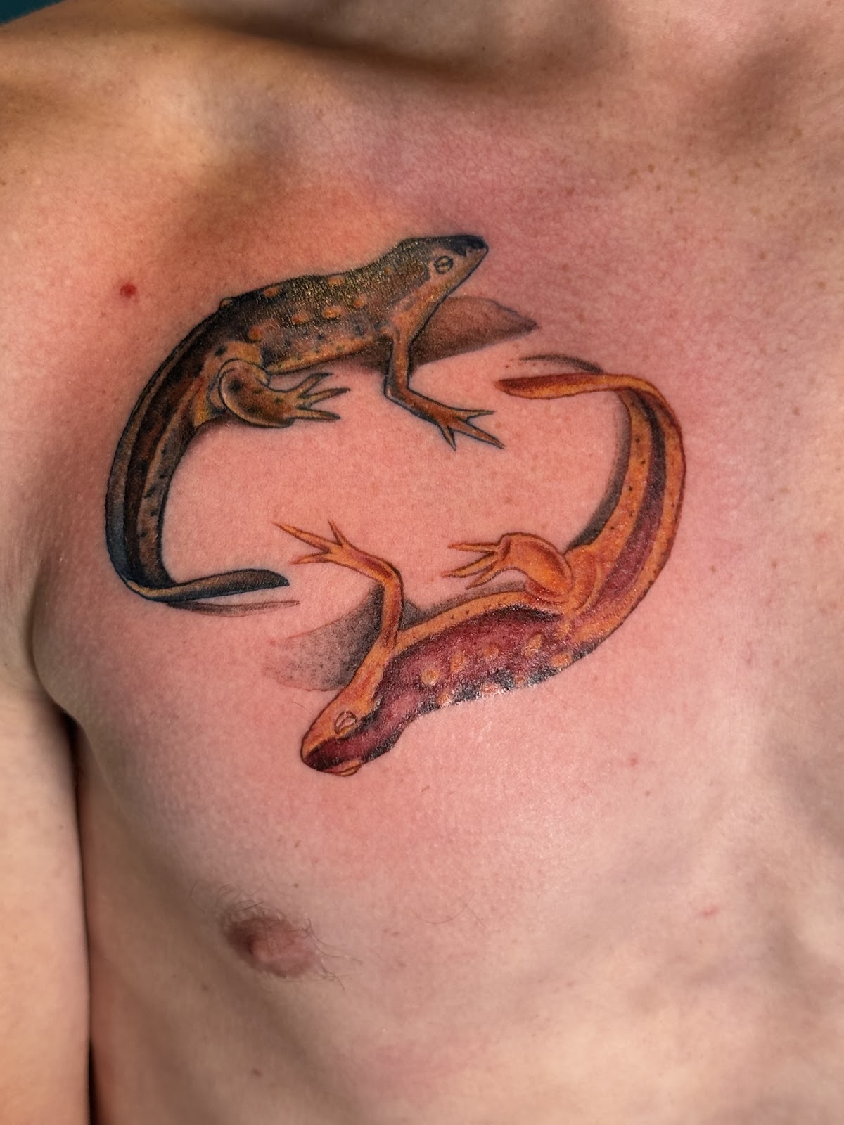 Tarpon Springs Tattoo Co.,Llc tattoo parlor in Palm Harbor, FL