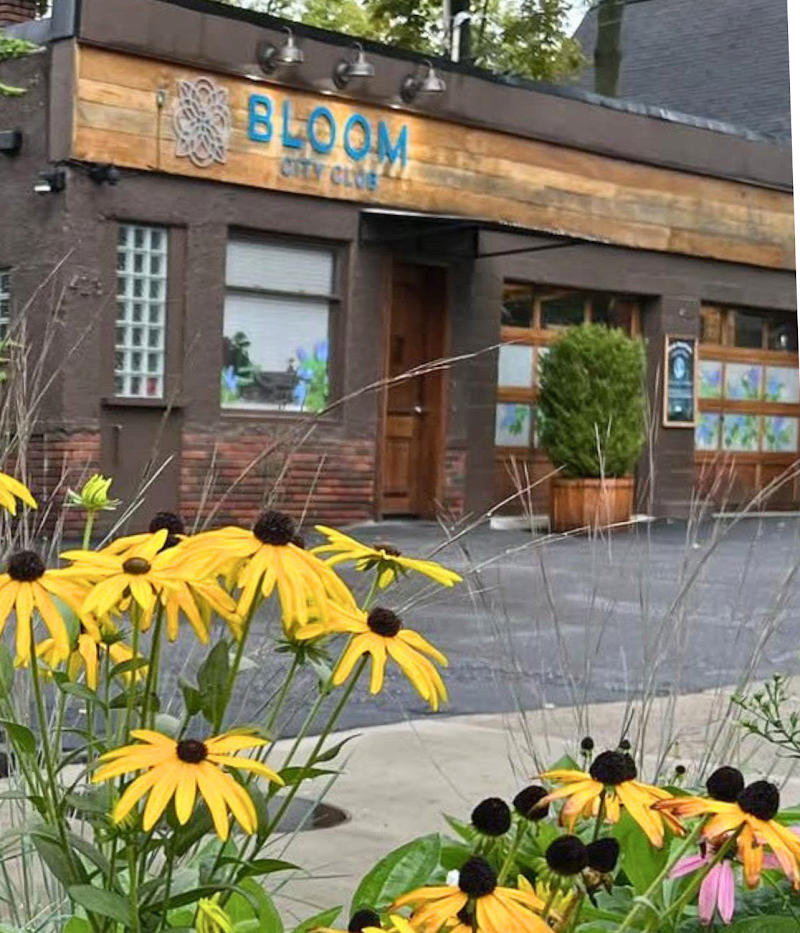 Video tour of Bloom City Club Ann Arbor Dispensary retail environment