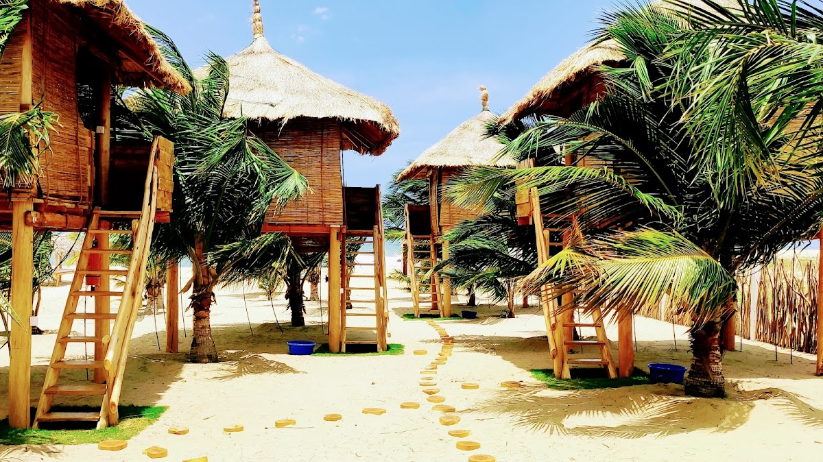 Whisky Point Resort