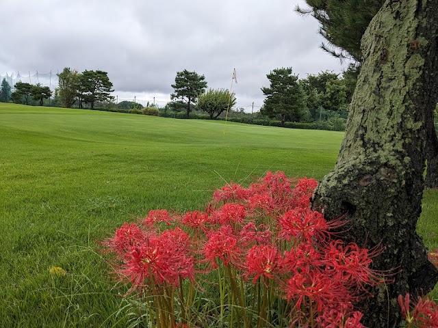 Sayama Riverside Golf Course - Photo 8
