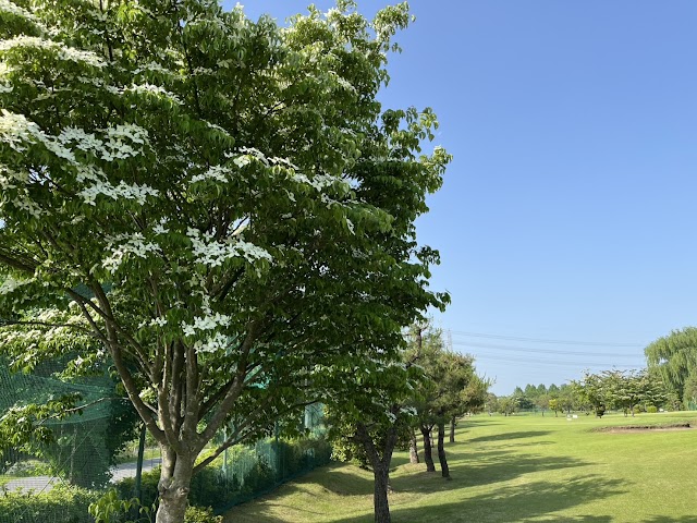 Sayama Riverside Golf Course - Photo 9