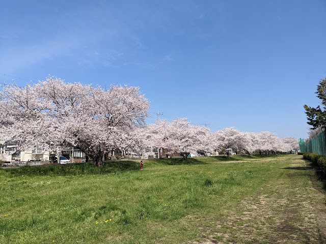 Sayama Riverside Golf Course - Photo 2