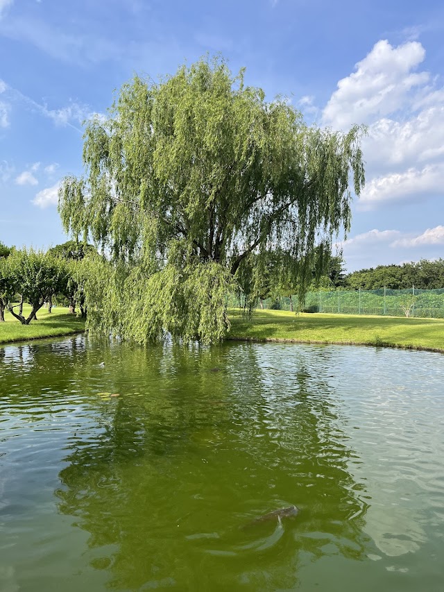 Sayama Riverside Golf Course - Photo 5