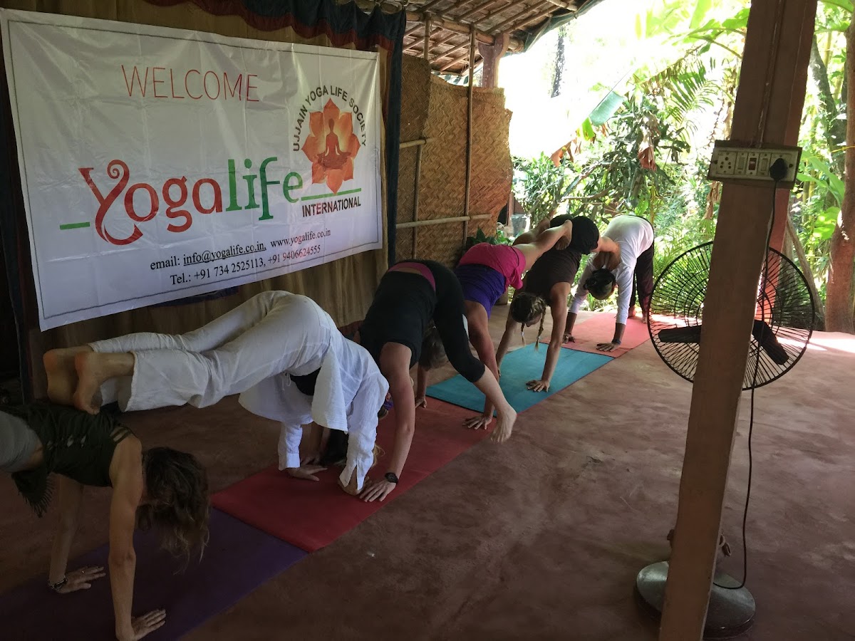Yogalife Goa — 4