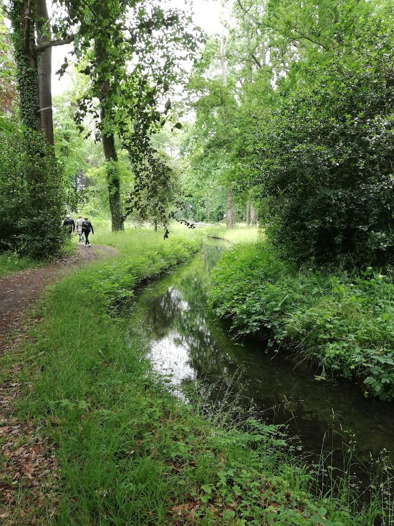 Donckse Bos