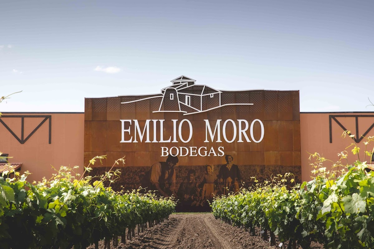 Bodegas Emilio Moro S.L. - Ribera del Duero