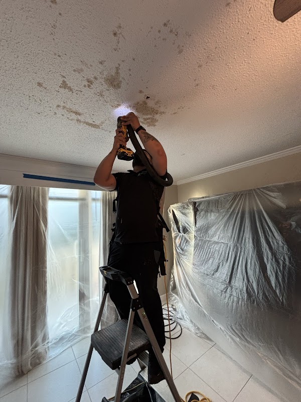 Mold Solutions Tampa Bay — photo