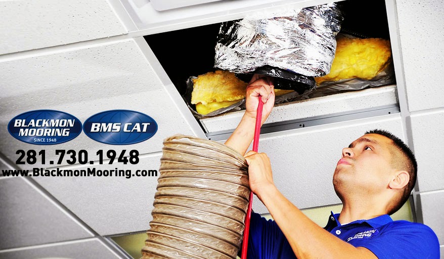 BMS CAT Houston — photo