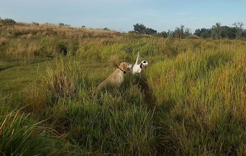 SPORTSMAN'S PRESERVE Quail Pheasant & Chukar Hunting in Florida - Photo 1