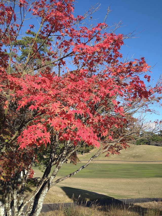 Shiga Country Club - Photo 7
