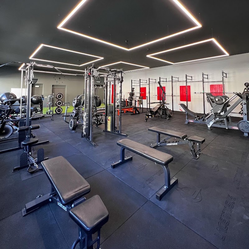 PAUL FIT STUDIO - Personal Trainer privato Biella
