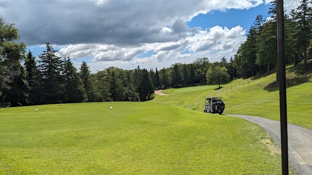JGM Thoroughbred Golf Club - Photo 1