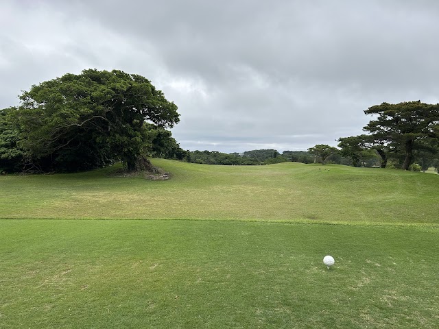 Ryukyu Golf Club - Photo 1